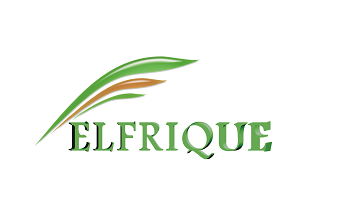 Elfrique Solutions